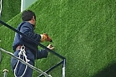 540833_150328798462207_1224508647_n