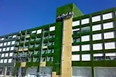 556710_150335001794920_1139201929_n