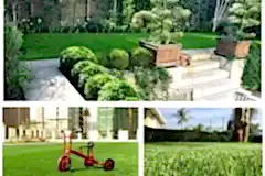 201806061106329850660-1