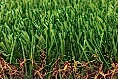 201812220949108560313