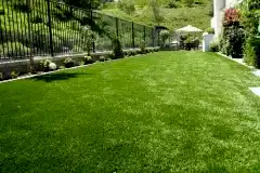 201812220954068225613