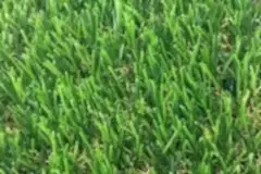 artificial-turf-for-residential-use56204771176