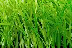 201803071640242591349