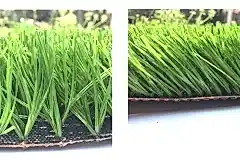 201805020851351687620-1