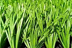 artificial-grass-football-pitch44232302523