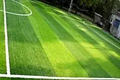 fake-turf-grass201805151333547918973