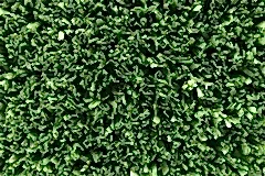 201803281007571622778