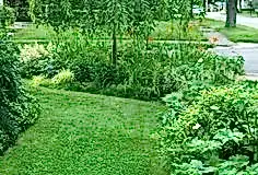 6f71e3e68d574a17ceef07b69dde8325