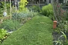 path-main-grass-path